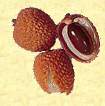 fruits
