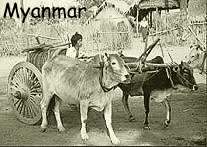 Myanmar, Birma, Burma