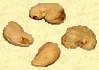 Cashewnuesse in Schale