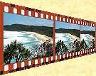 more photos from Noosa - click here !