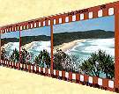 more photos from Noosa - click here !