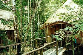 Unterknfte Acajatuba Jungle Lodge