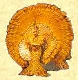 T�nzerin