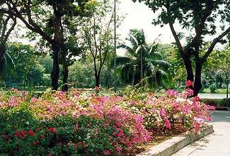 Lumpini Park