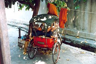 trecycle