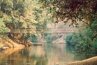 swinging bridge