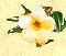 gelbe Blume