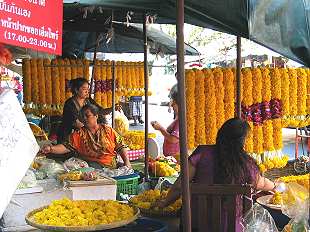 Flowermarket,  Pak Klong Talat