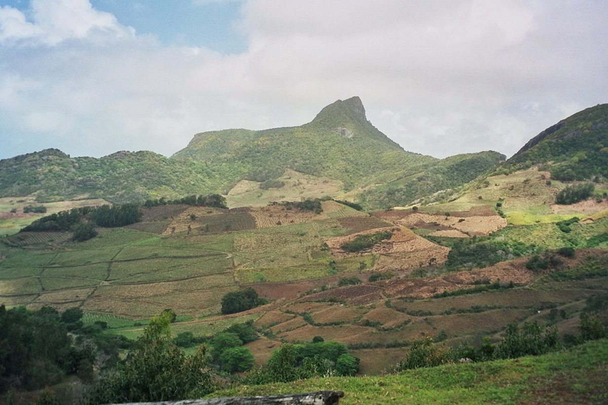 Landschaft auf Mauritius