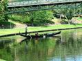 Adelaide, Torrens River  -  Click for large image !