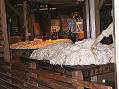 Geelong Wool Museum  -  Click for large image !
