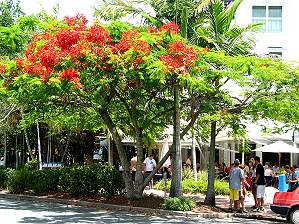 Noosa, Hastings Street