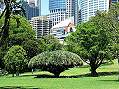 Sydney, Botanic Garden  -  Click for large image !