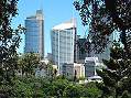 Sydney, Botanic Garden  -  Click for large image !