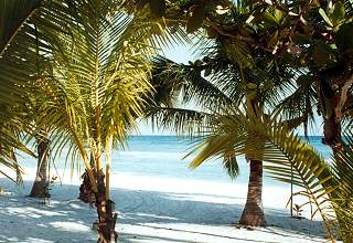 Bohol Beach Club, beach