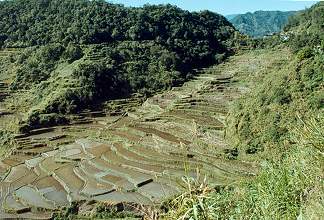  beautiful rice terraces.