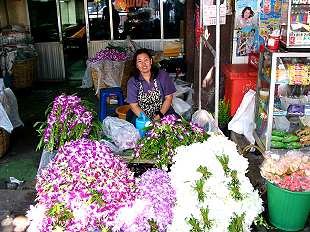 Blumenmarkt / Flowermarket,  Pak Klong Talat