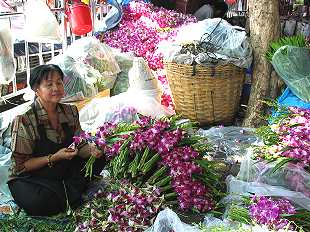 Blumenmarkt / Flowermarket,  Pak Klong Talat