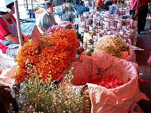 Blumenmarkt / Flowermarket,  Pak Klong Talat