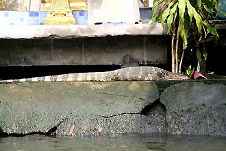 Thonburi   -  Click for large image !