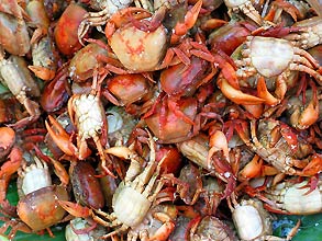 Khon Kaen  -  Click for large image !