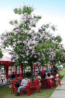 Khorat  -  Click for large image !