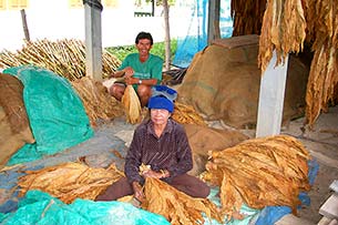 Provinz Nakhon Phanom - Click for large image !