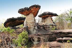 National park - Click for large image !