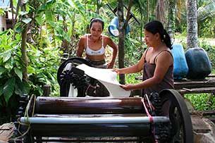 Kautschukplantage - Click for large image !