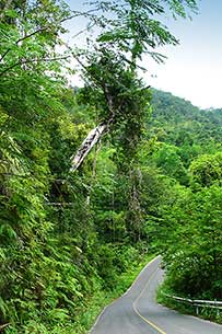 Click for large image !