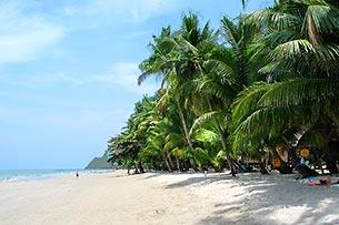 Click for large image !