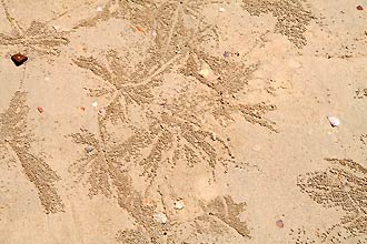 Krabi  - Click for large image !