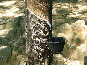 Kautschuk Verarbeitung