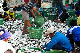 Cha Am - Click for large image!