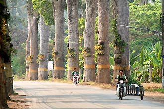 auf dem Weg nach Sukhothai -  Click for large image !