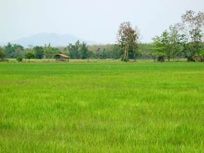 auf dem Weg nach Sukhothai -  Click for large image !