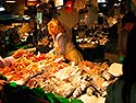 Barcelona, Mercat de la Boqueria - Click for large image !