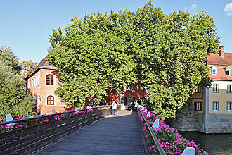Bamberg
