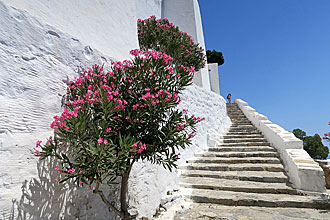 Amorgos