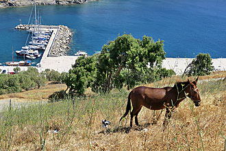 Astypalaia