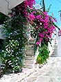 Mykonos  -  Click for large image !