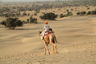 Jaisalmer