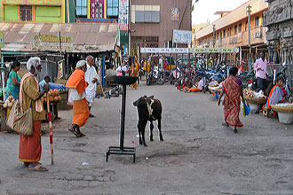 Thiruvannamalai