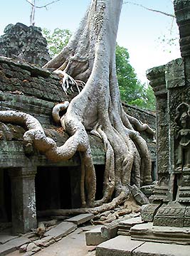 temple arrear Tha Prom