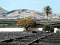 Lanzarote  -  zum Vergroessern bitte anklicken!
