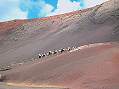 Lanzarote, Parque Nacional de Timanfaya  -  zum Vergroessern bitte anklicken!