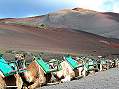 Lanzarote, Parque Nacional de Timanfaya  -  zum Vergroessern bitte anklicken!