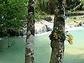 Luang Prabang  -  Click for large image ! !!