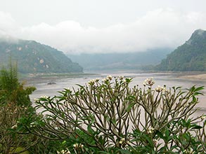 Click for large image !