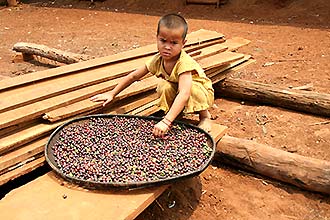 Click for large image !